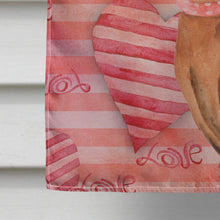 Load image into Gallery viewer, Miniature Pinscher Love Flag Canvas House Size BB9743CHF