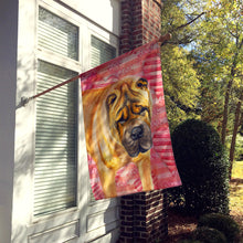 Load image into Gallery viewer, Shar Pei Love Flag Canvas House Size BB9748CHF