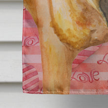 Load image into Gallery viewer, Shar Pei Love Flag Canvas House Size BB9748CHF
