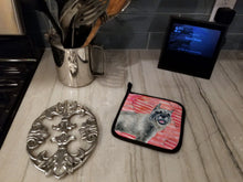 Load image into Gallery viewer, Schnauzer Love Pot Holders - Set of 2 - Heat-Resistant Kitchen Essentials BB9749PTHD