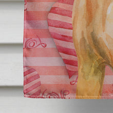 Load image into Gallery viewer, Rhodesian Ridgeback Love Flag Canvas House Size BB9763CHF