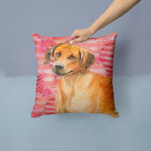 Load image into Gallery viewer, Rhodesian Ridgeback Love Throw Pillow - 14x14 Decorative Pillow – Art for Your Home &amp; Patio BB9763PW1414