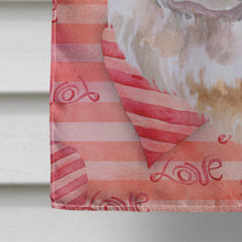Load image into Gallery viewer, Cane Corso Love Flag Canvas House Size BB9782CHF