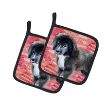 Load image into Gallery viewer, Newfoundland Puppy Love Pot Holders - Set of 2 - Heat-Resistant Kitchen Essentials BB9786PTHD