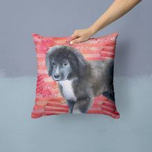 Load image into Gallery viewer, Newfoundland Puppy Love Throw Pillow - 14x14 Decorative Pillow – Art for Your Home &amp; Patio BB9786PW1414