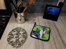 Load image into Gallery viewer, Harlequin Great Dane St Patrick's Pot Holders - Set of 2 - Heat-Resistant Kitchen Essentials BB9817PTHD