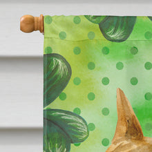 Load image into Gallery viewer, American Staffordshire St Patrick's Flag Canvas House Size BB9818CHF