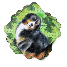 Load image into Gallery viewer, Bernese Mountain Dog St Patrick's Foam Coaster  BB9819FC