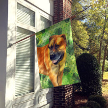 Load image into Gallery viewer, Boerboel Mastiff St Patrick's Flag Canvas House Size BB9820CHF