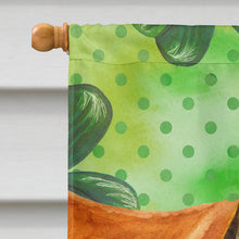 Load image into Gallery viewer, Boerboel Mastiff St Patrick's Flag Canvas House Size BB9820CHF