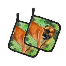 Load image into Gallery viewer, Boerboel Mastiff St Patrick's Pot Holders - Set of 2 - Heat-Resistant Kitchen Essentials BB9820PTHD