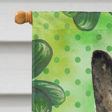 Load image into Gallery viewer, East-European Shepherd St Patrick's Flag Canvas House Size BB9823CHF