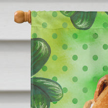 Load image into Gallery viewer, Fox Terrier St Patrick's Flag Canvas House Size BB9824CHF