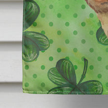 Load image into Gallery viewer, Dachshund St Patrick's Flag Canvas House Size BB9826CHF