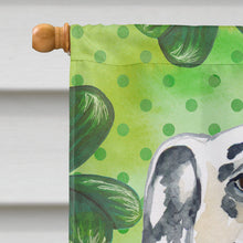 Load image into Gallery viewer, Dalmatian St Patrick's Flag Canvas House Size BB9827CHF
