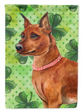 Load image into Gallery viewer, Miniature Pinscher St Patrick's Flag Canvas House Size BB9830CHF