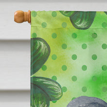 Load image into Gallery viewer, Papillon St Patrick's Flag Canvas House Size BB9831CHF
