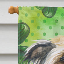 Load image into Gallery viewer, Chinese Crested St Patrick's Flag Canvas House Size BB9833CHF