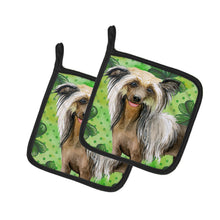 Load image into Gallery viewer, Chinese Crested St Patrick's Pot Holders - Set of 2 - Heat-Resistant Kitchen Essentials BB9833PTHD