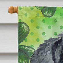 Load image into Gallery viewer, Giant Schnauzer St Patrick's Flag Canvas House Size BB9834CHF