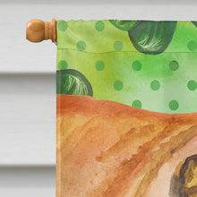 Load image into Gallery viewer, Shar Pei St Patrick's Flag Canvas House Size BB9835CHF