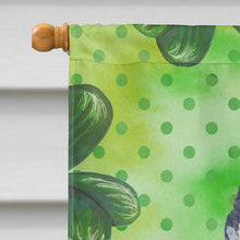 Load image into Gallery viewer, Schnauzer St Patrick's Flag Canvas House Size BB9836CHF