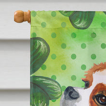 Load image into Gallery viewer, Cavalier Spaniel St Patrick's Flag Canvas House Size BB9837CHF