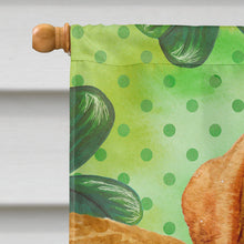 Load image into Gallery viewer, Golden Retriever St Patrick's Flag Canvas House Size BB9838CHF