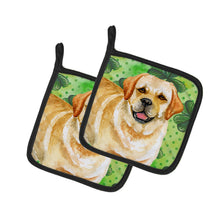 Load image into Gallery viewer, Golden Retriever St Patrick's Pot Holders - Set of 2 - Heat-Resistant Kitchen Essentials BB9838PTHD