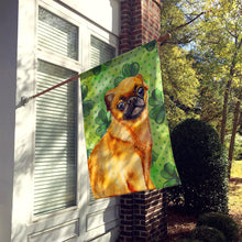 Load image into Gallery viewer, Small Brabant Griffon St Patrick's Flag Canvas House Size BB9841CHF