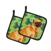 Load image into Gallery viewer, Small Brabant Griffon St Patrick's Pot Holders - Set of 2 - Heat-Resistant Kitchen Essentials BB9841PTHD