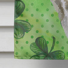 Load image into Gallery viewer, American Akita St Patrick's Flag Canvas House Size BB9843CHF