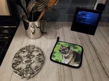 Load image into Gallery viewer, American Akita St Patrick's Pot Holders - Set of 2 - Heat-Resistant Kitchen Essentials BB9843PTHD