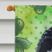 Load image into Gallery viewer, Newfoundland St Patrick's Flag Canvas House Size BB9845CHF