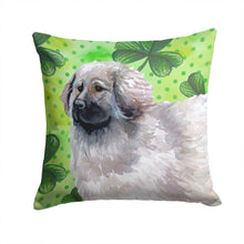 Load image into Gallery viewer, Moscow Watchdog St Patrick's Throw Pillow - 14x14 Decorative Pillow – Art for Your Home &amp; Patio BB9847PW1414