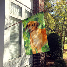 Load image into Gallery viewer, Rhodesian Ridgeback St Patrick's Flag Canvas House Size BB9850CHF