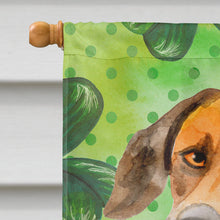 Load image into Gallery viewer, Rhodesian Ridgeback St Patrick's Flag Canvas House Size BB9850CHF