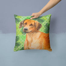Load image into Gallery viewer, Rhodesian Ridgeback St Patrick's Throw Pillow - 14x14 Decorative Pillow – Art for Your Home &amp; Patio BB9850PW1414
