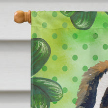 Load image into Gallery viewer, Saint Bernard St Patrick's Flag Canvas House Size BB9853CHF