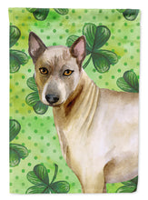 Load image into Gallery viewer, Thai Ridgeback St Patrick's Garden Flag - Outdoor Decorative Yard Flag BB9854GF