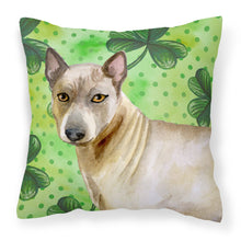 Load image into Gallery viewer, Thai Ridgeback St Patrick's Fabric Decorative Pillow BB9854PW1818