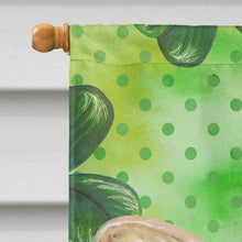 Load image into Gallery viewer, French Bulldog St Patrick's Flag Canvas House Size BB9862CHF