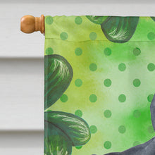 Load image into Gallery viewer, Cane Corso St Patrick's Flag Canvas House Size BB9868CHF