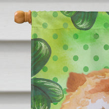 Load image into Gallery viewer, Cane Corso St Patrick's Flag Canvas House Size BB9869CHF