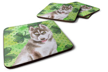 Load image into Gallery viewer, Siberian Husky Grey St Patrick's Foam Coaster  BB9870FC