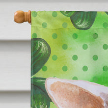 Load image into Gallery viewer, Chihuahua Leg up St Patrick's Flag Canvas House Size BB9871CHF