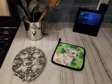 Load image into Gallery viewer, Chihuahua Leg up St Patrick's Pot Holders - Set of 2 - Heat-Resistant Kitchen Essentials BB9871PTHD