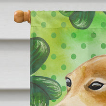 Load image into Gallery viewer, Italian Greyhound St Patrick's Flag Canvas House Size BB9872CHF