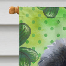 Load image into Gallery viewer, Newfoundland Puppy St Patrick's Flag Canvas House Size BB9873CHF