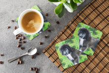 Load image into Gallery viewer, Newfoundland Puppy St Patrick's Coasters - Set of 4 Lightweight Foam, Absorbent Drink Coasters